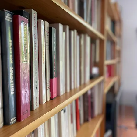 Le Duplex Cote Vieux Port Lägenhet